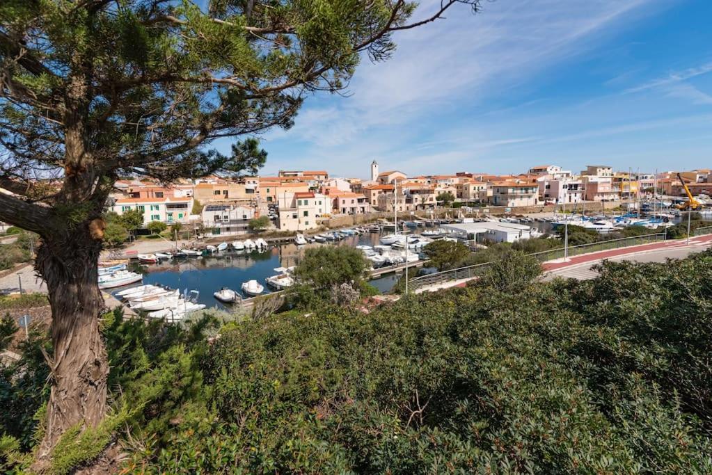 La Lampara - Casa Panoramica 4 Km Dalla Pelosa ستينتينو المظهر الخارجي الصورة