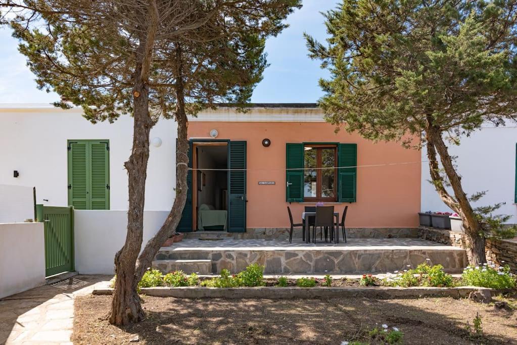 La Lampara - Casa Panoramica 4 Km Dalla Pelosa ستينتينو المظهر الخارجي الصورة